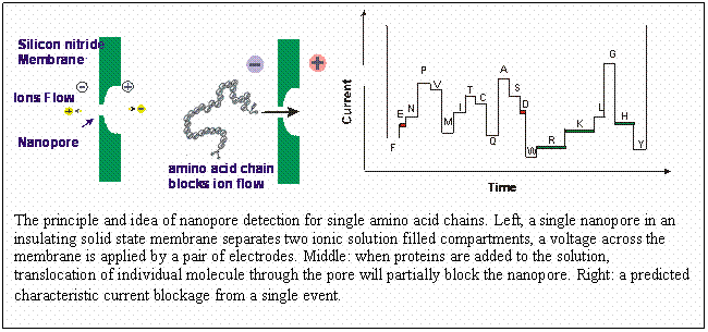 Text Box:          

The principle and idea of nanopore detection for single amino acid chains. Left, a single nanopore in an insulating solid state membrane separates two ionic solution filled compartments, a voltage across the membrane is applied by a pair of electrodes. Middle: when proteins are added to the solution, translocation of individual molecule through the pore will partially block the nanopore. Right: a predicted characteristic current blockage from a single event.      

